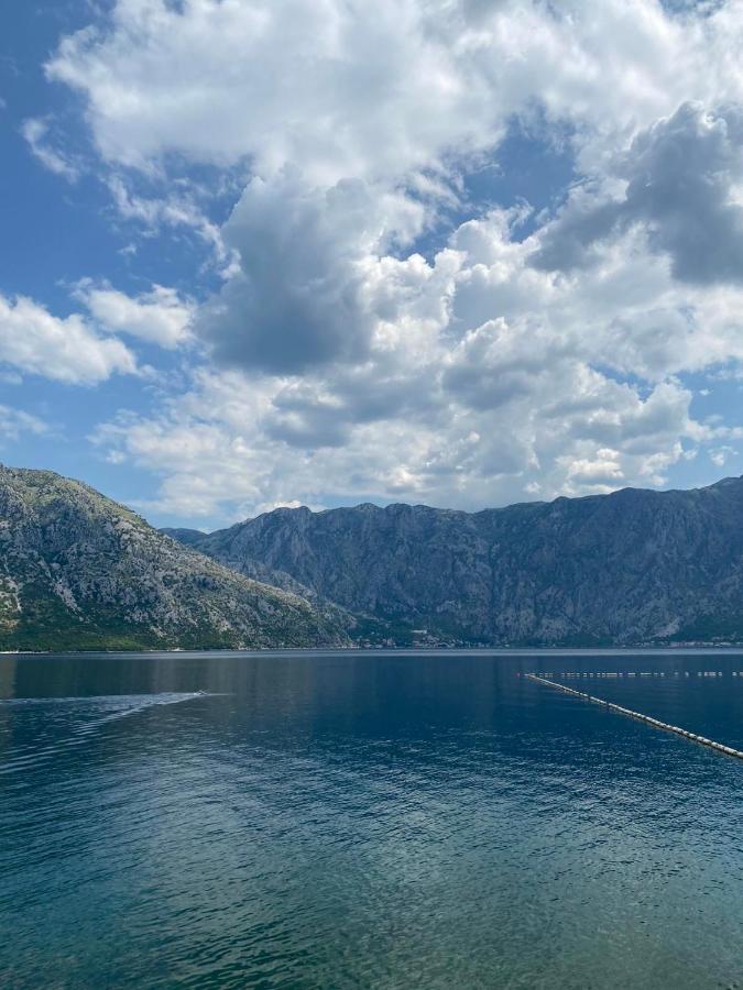 Villa Milami Kotor Eksteriør bilde