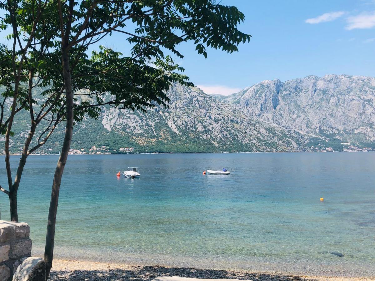 Villa Milami Kotor Eksteriør bilde