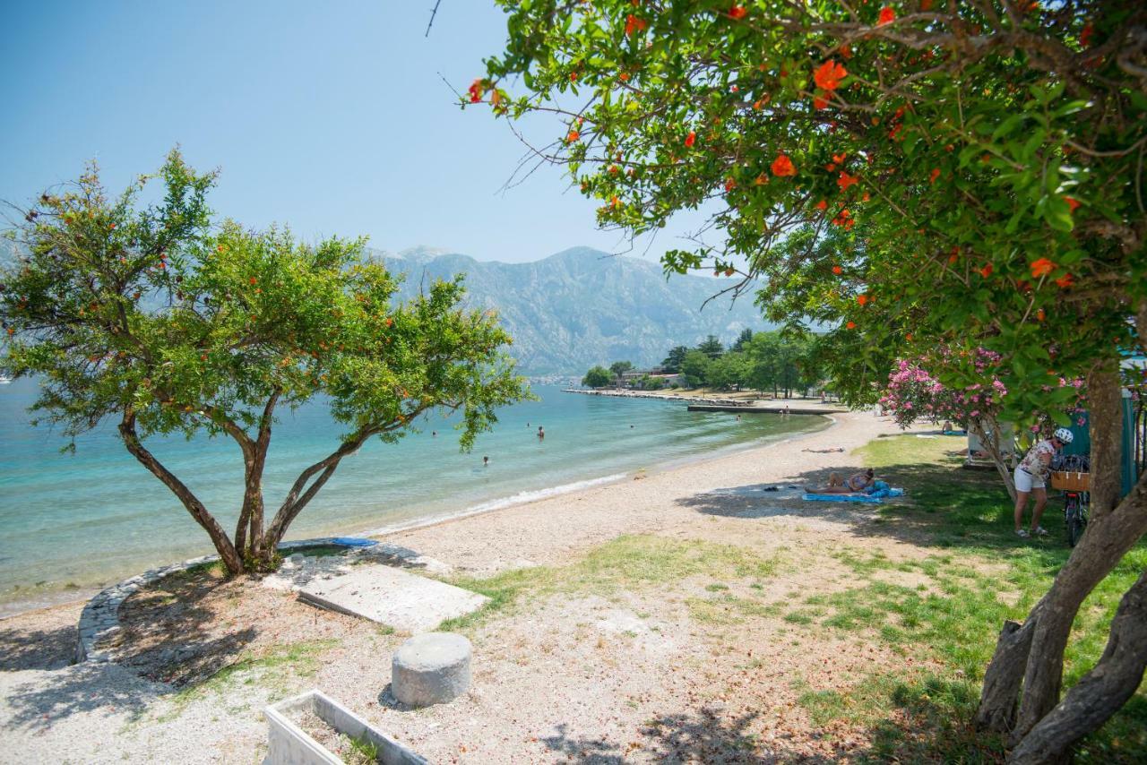 Villa Milami Kotor Eksteriør bilde